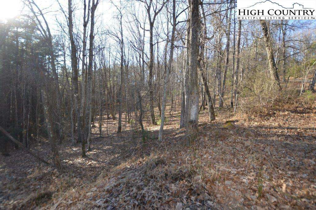 Image number 1 for the current listing