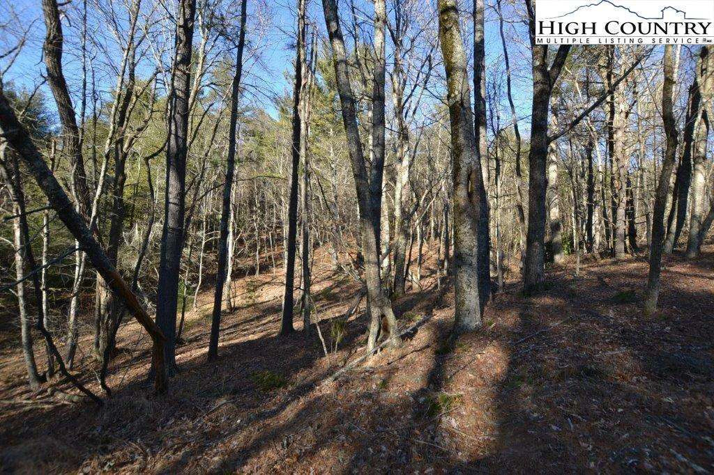 Image number 2 for the current listing