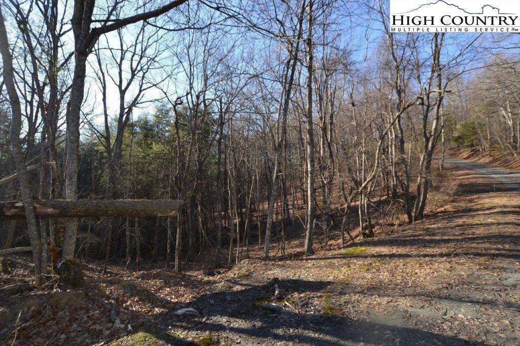 Image number 11 for the current listing