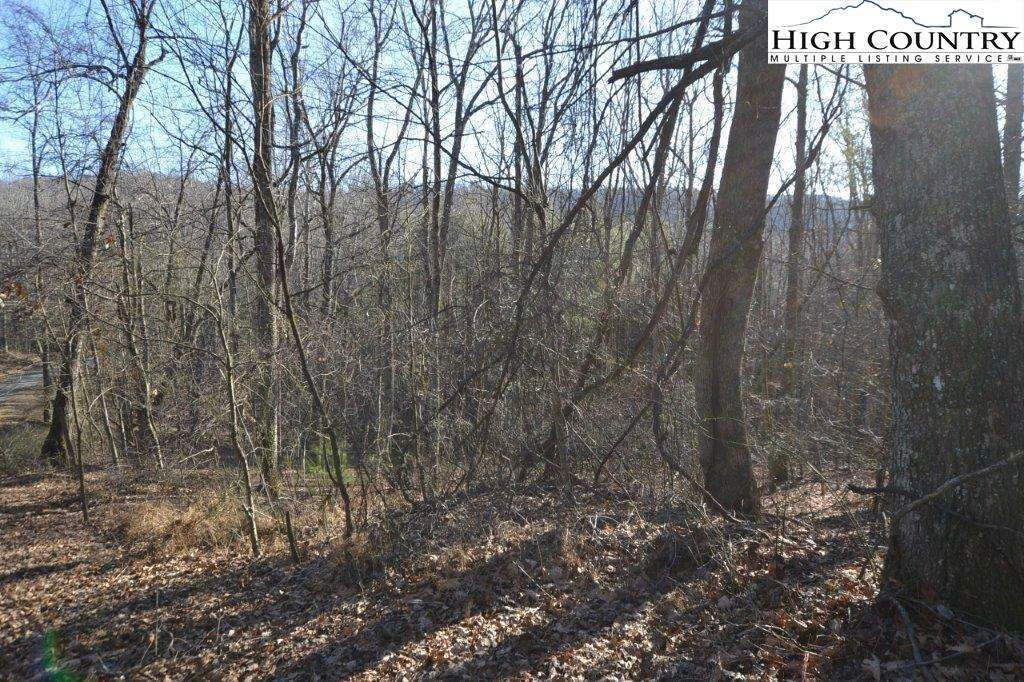 Image number 9 for the current listing