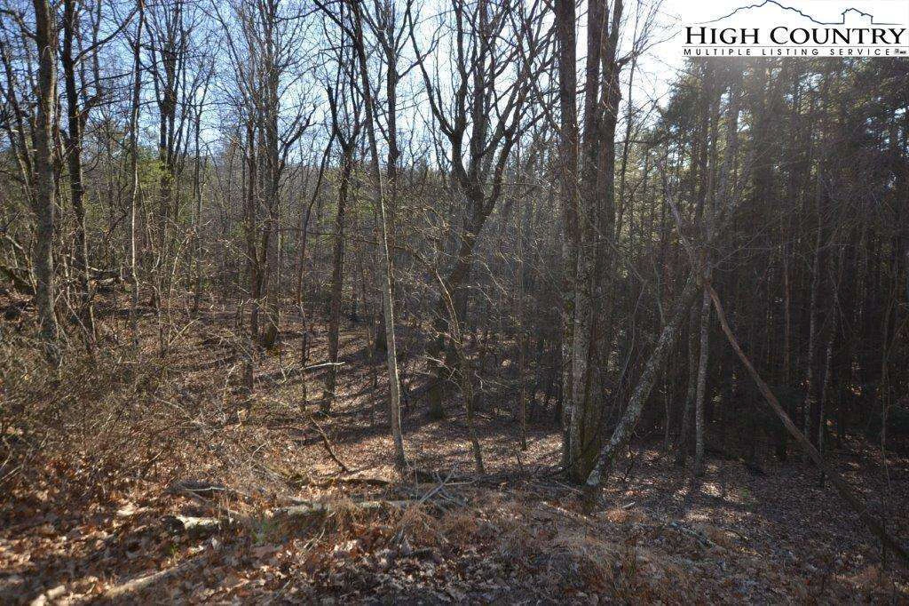 Image number 7 for the current listing