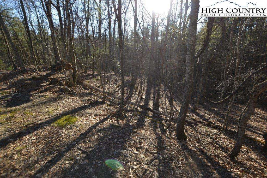 Image number 6 for the current listing