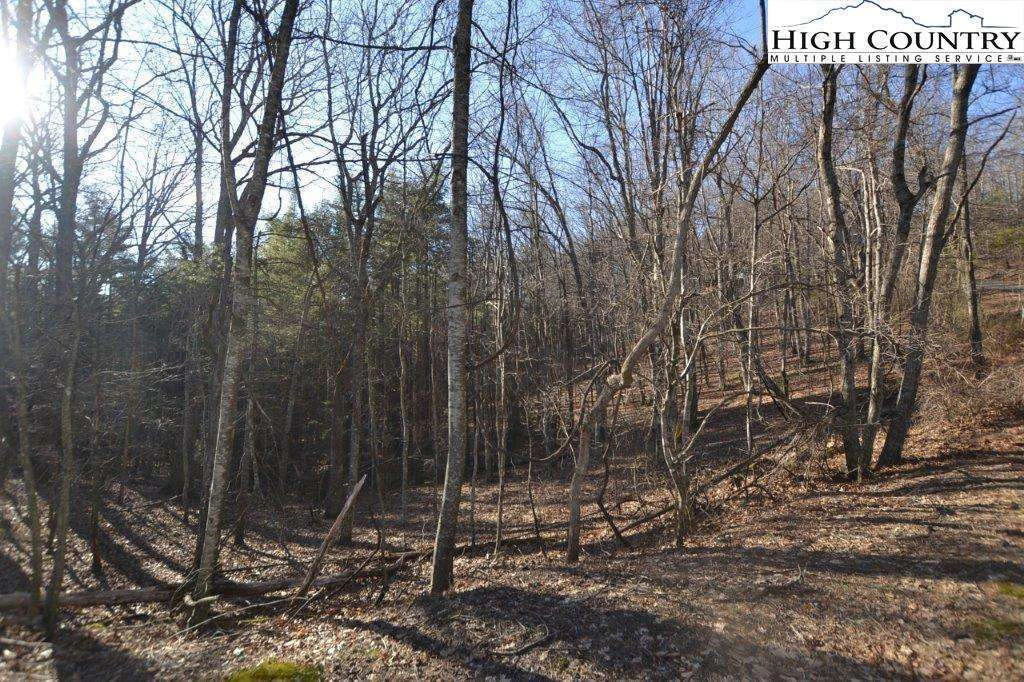 Image number 5 for the current listing