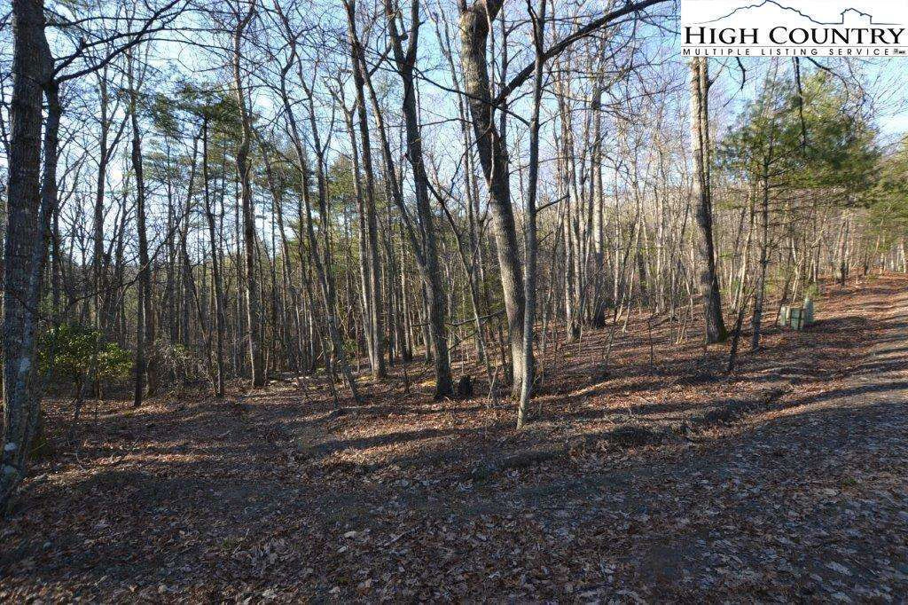 Image number 4 for the current listing