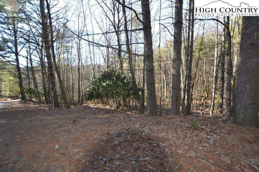 Image number 20 for the current listing
