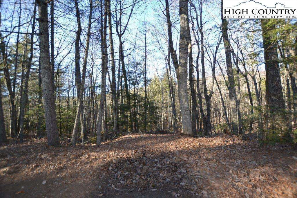 Image number 3 for the current listing