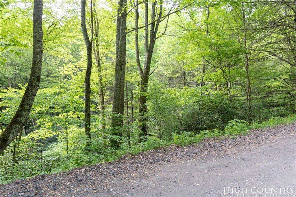Image number 1 for the current listing