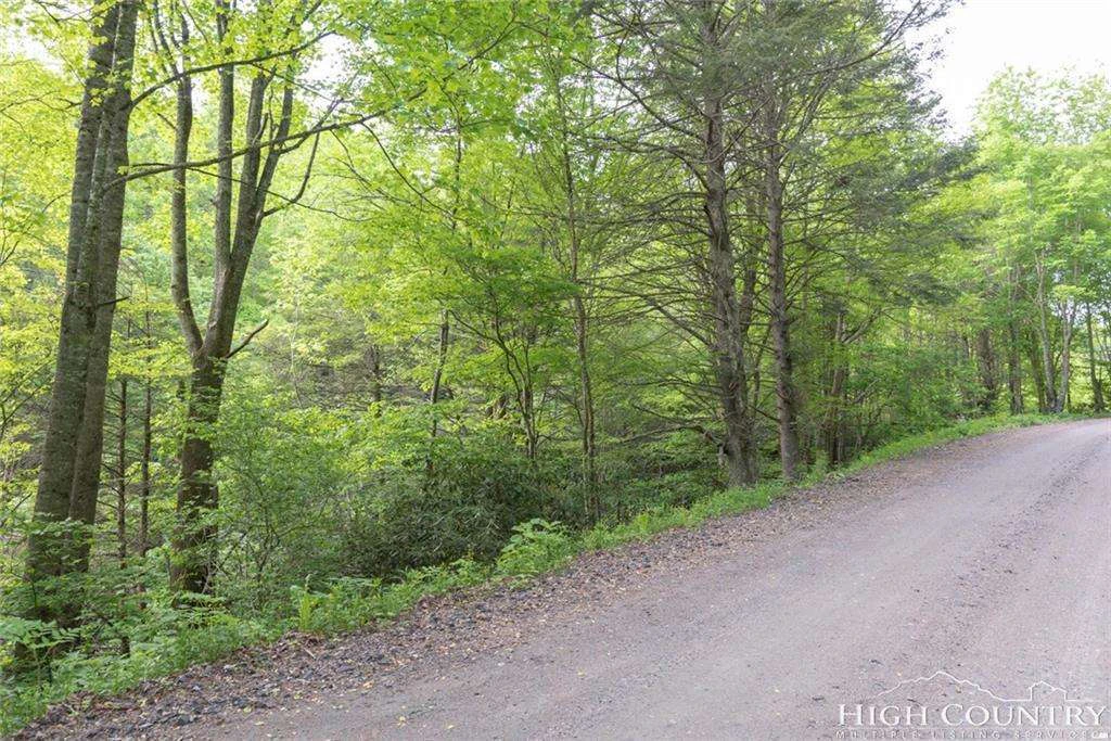 Image number 4 for the current listing