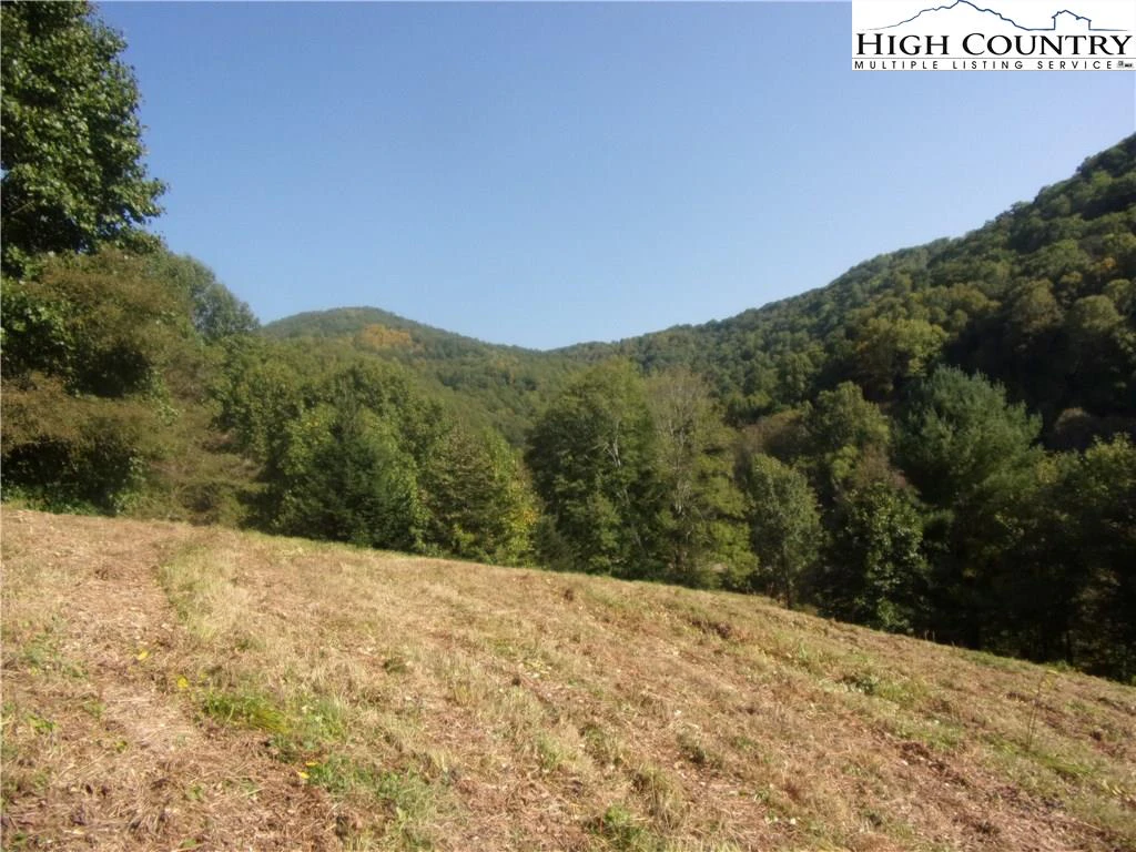 Image number 1 for the current listing