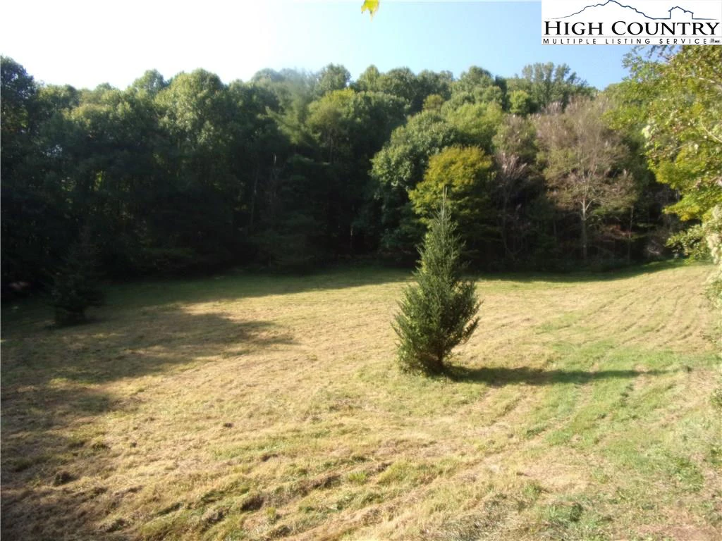 Image number 21 for the current listing