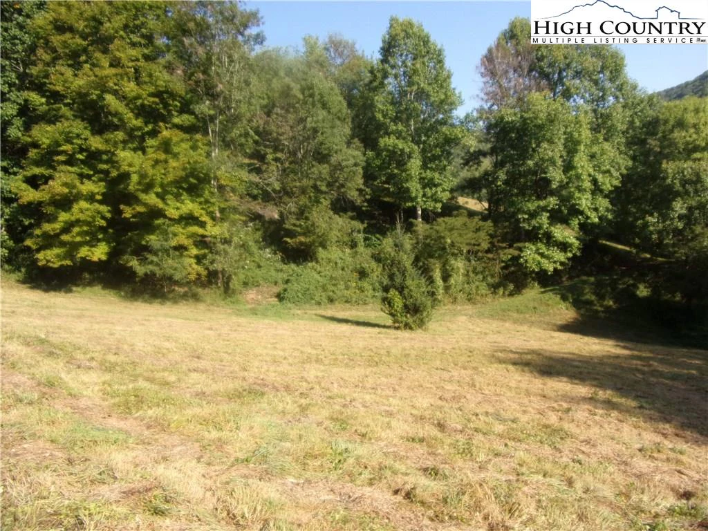 Image number 3 for the current listing