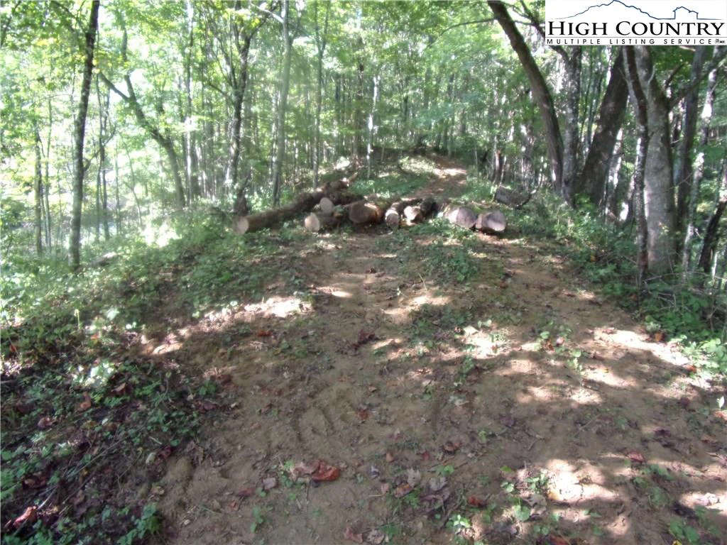 Image number 4 for the current listing