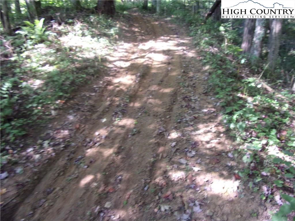 Image number 5 for the current listing
