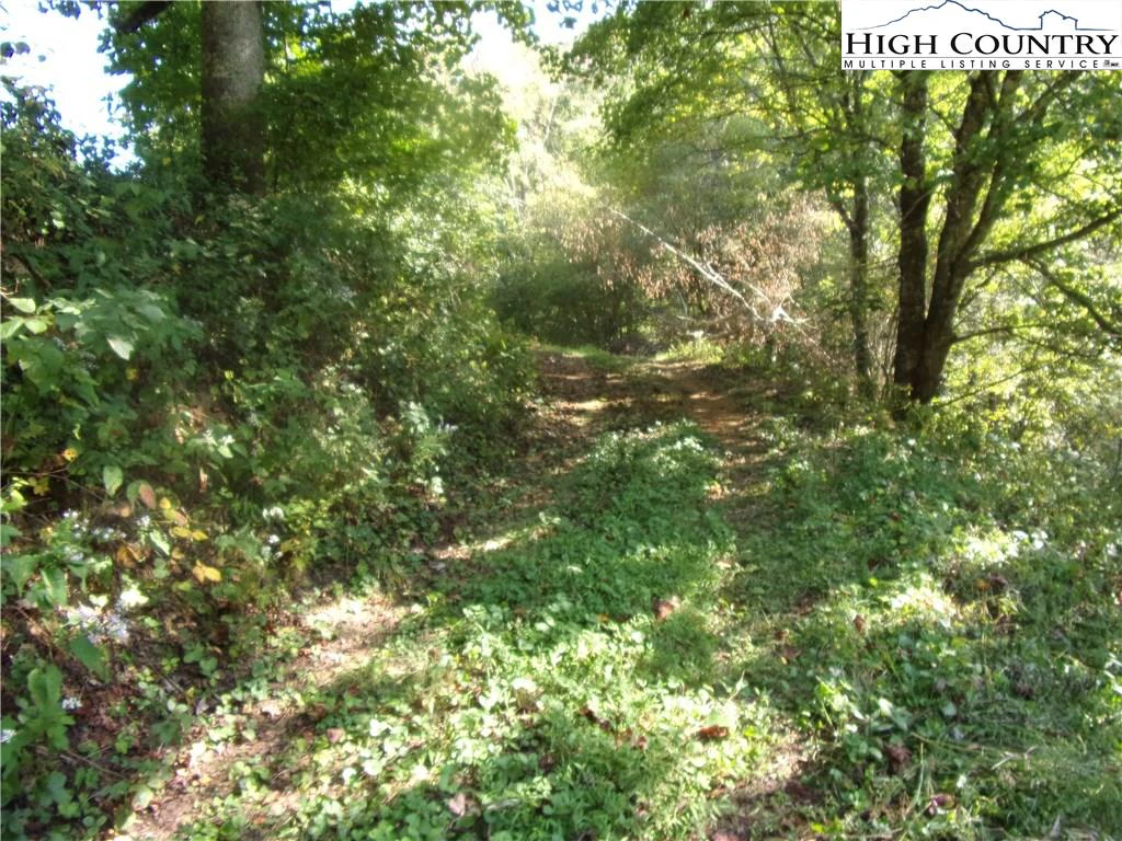 Image number 6 for the current listing