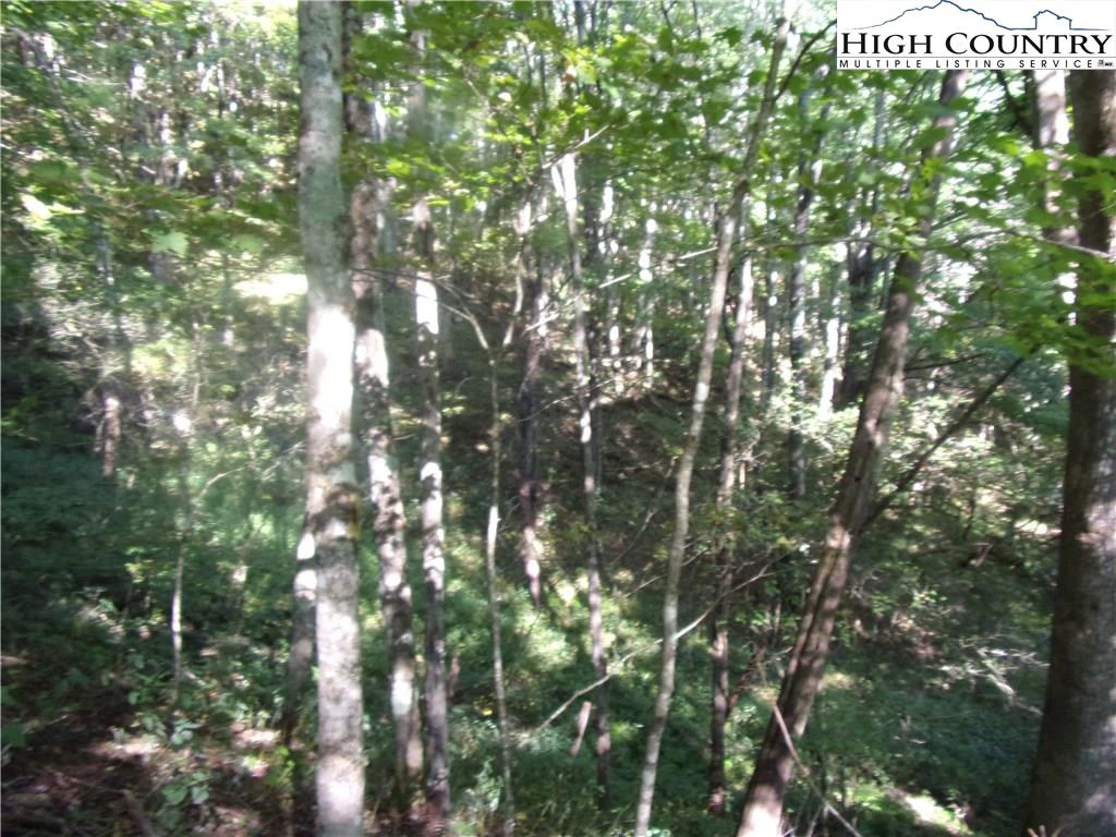 Image number 7 for the current listing