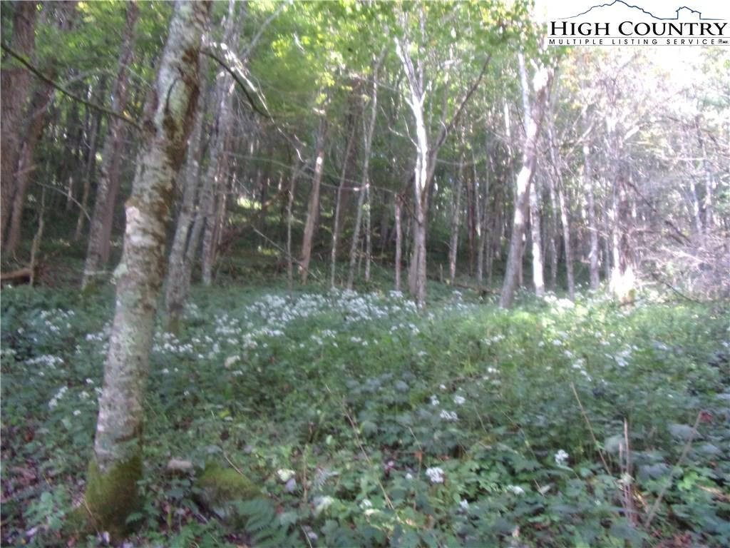 Image number 8 for the current listing