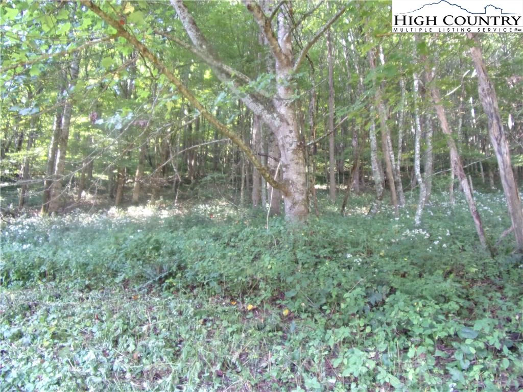 Image number 11 for the current listing