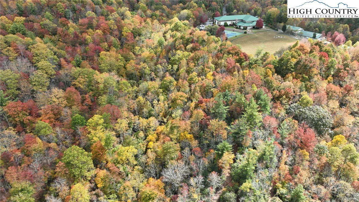 Image number 11 for the current listing