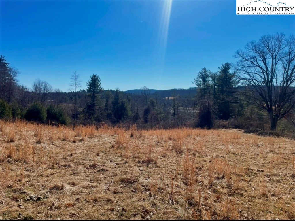 Image number 17 for the current listing
