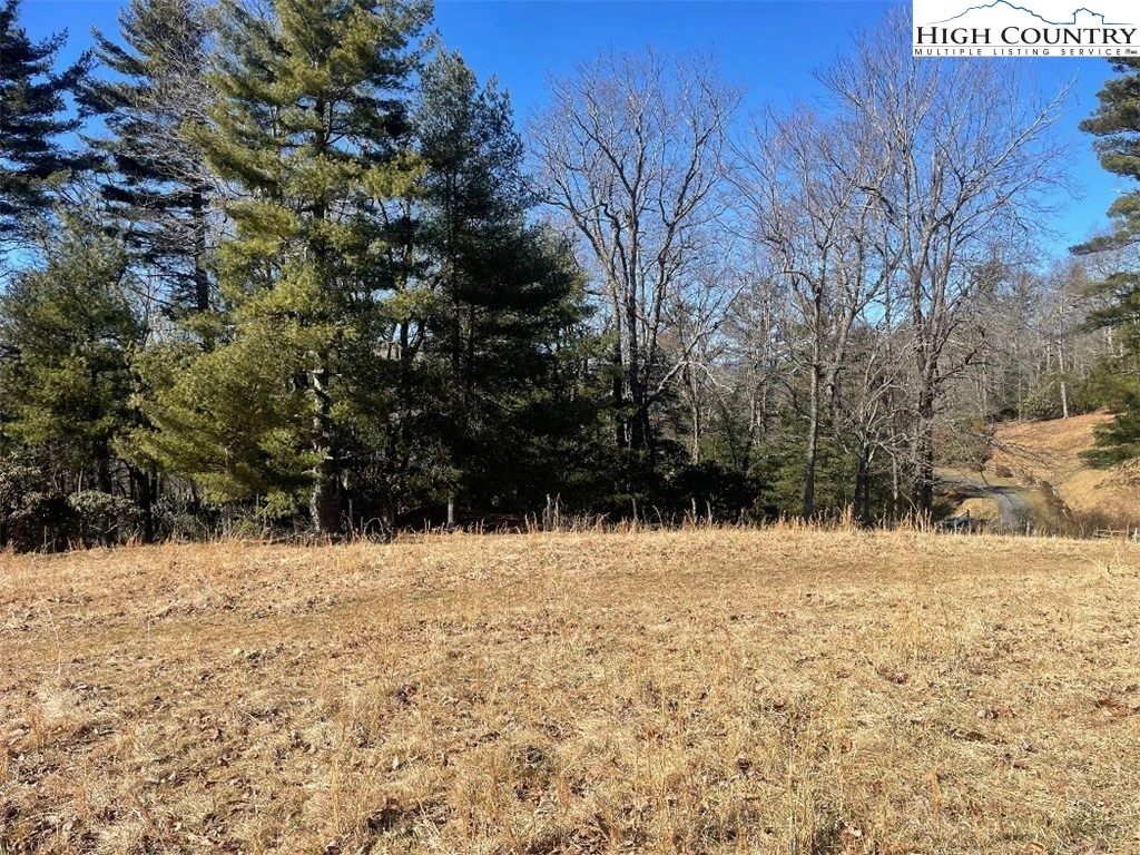 Image number 12 for the current listing