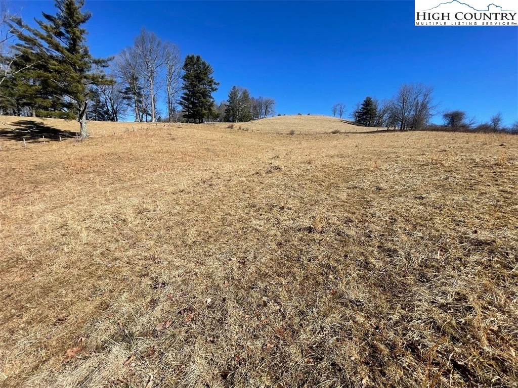 Image number 11 for the current listing