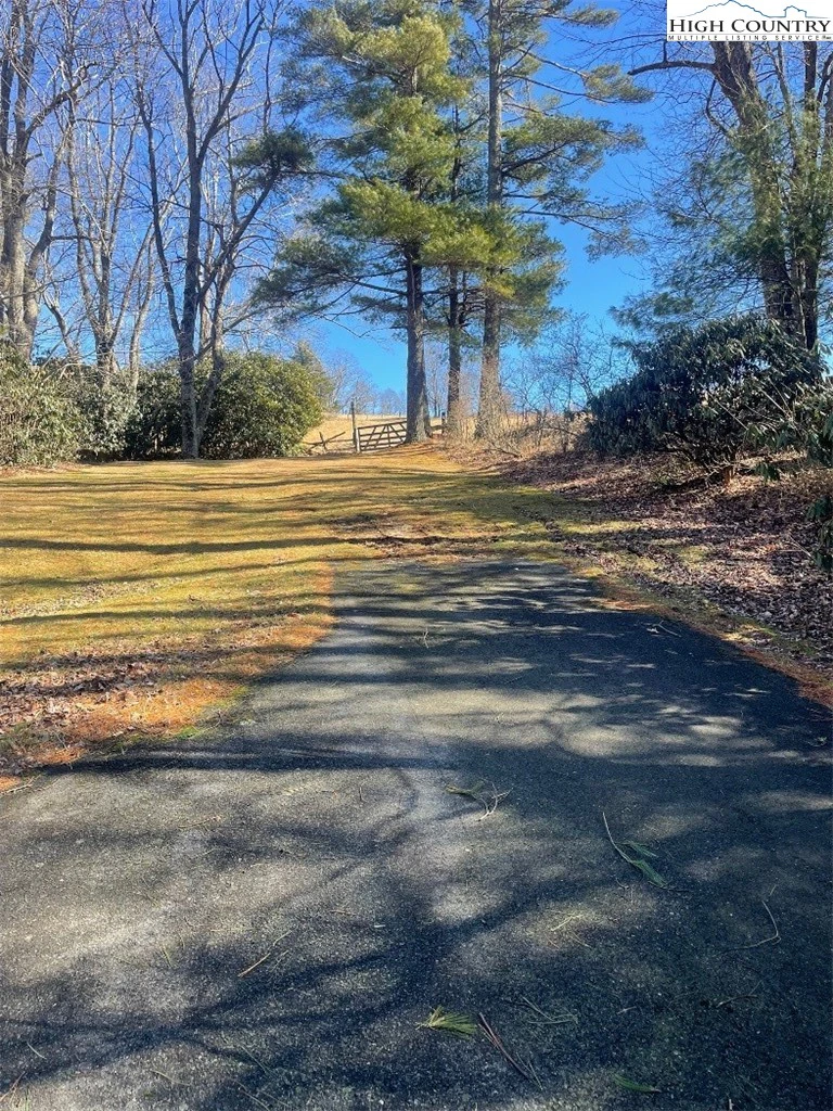 Image number 7 for the current listing