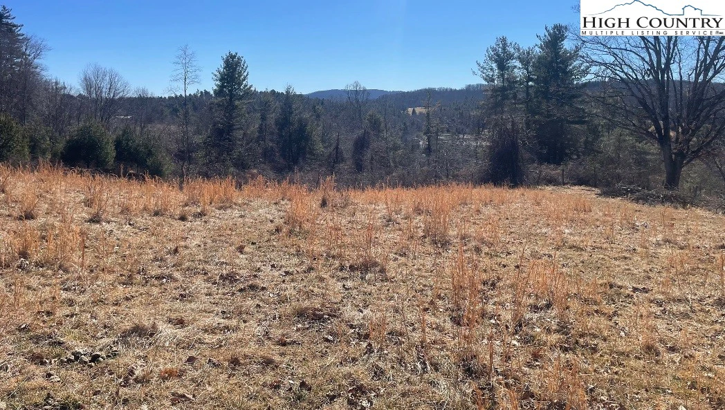 Image number 1 for the current listing
