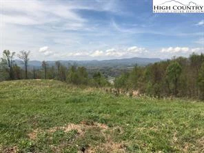 Image number 1 for the current listing