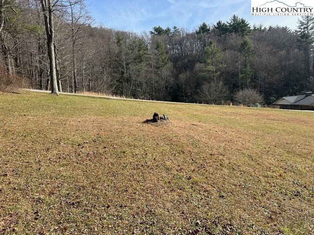 Image number 1 for the current listing