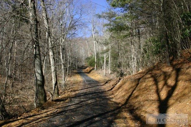Image number 3 for the current listing