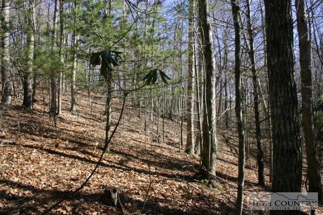 Image number 4 for the current listing