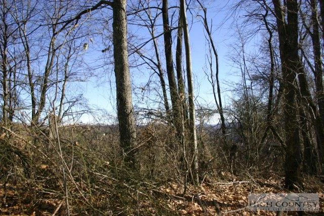 Image number 5 for the current listing