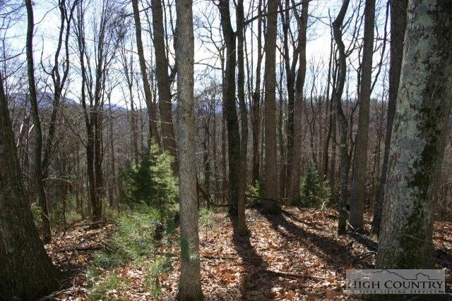 Image number 7 for the current listing