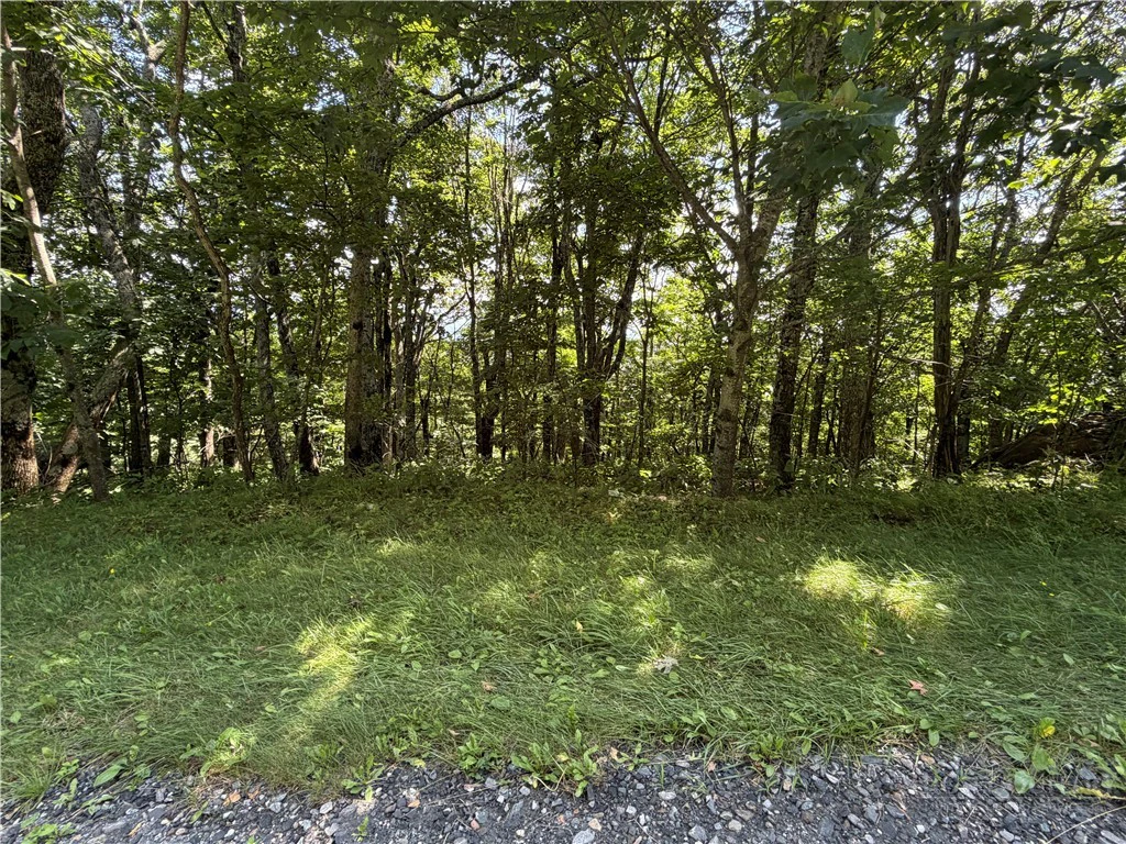 Image number 1 for the current listing