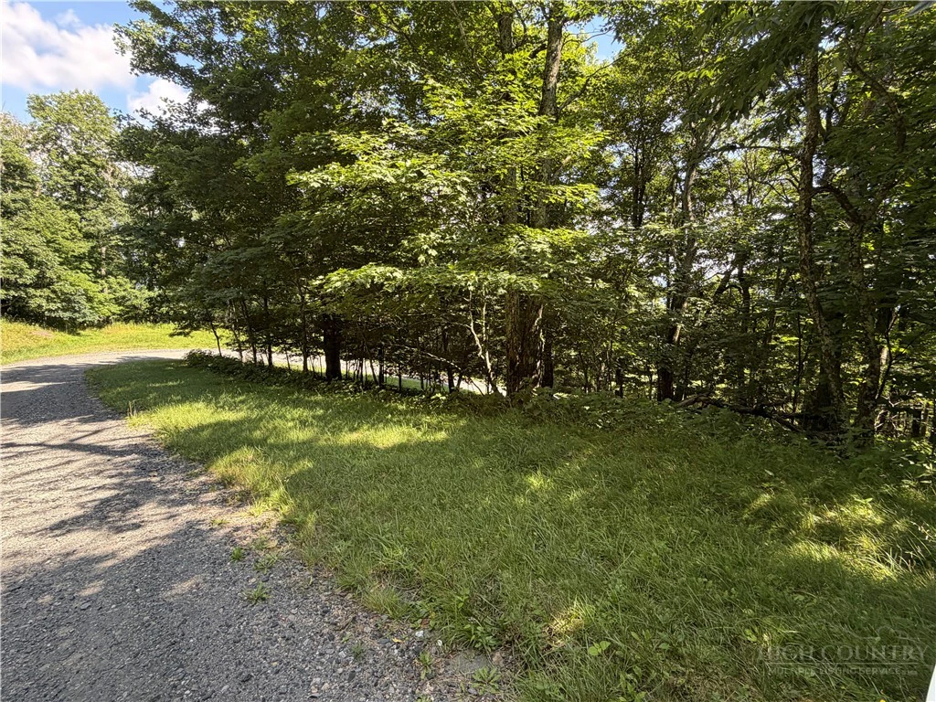 Image number 2 for the current listing