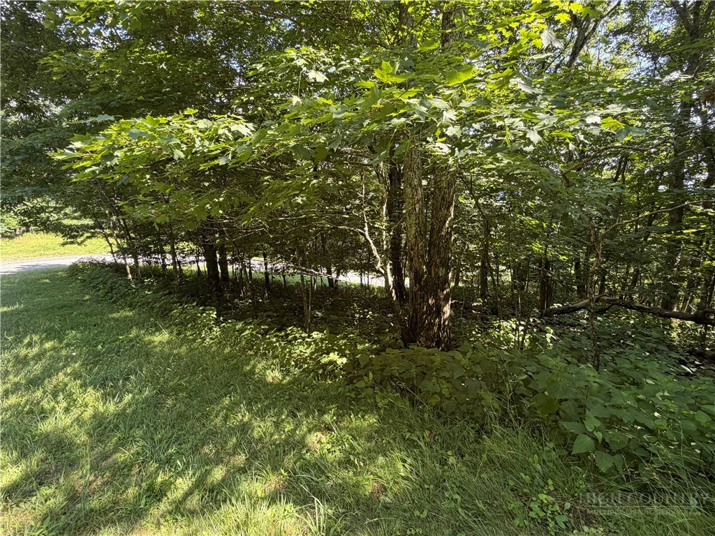 Image number 3 for the current listing