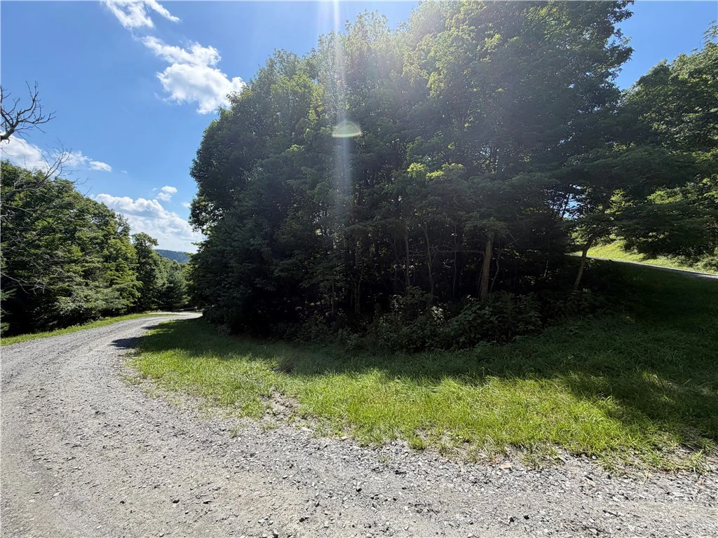 Image number 4 for the current listing