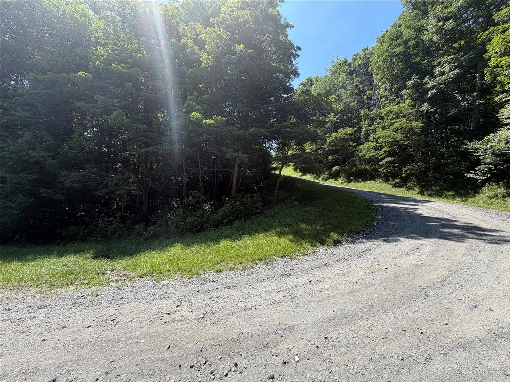 Image number 5 for the current listing