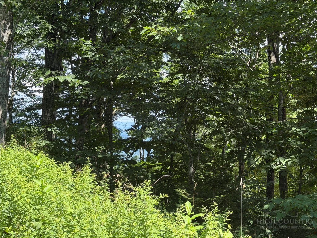 Image number 11 for the current listing