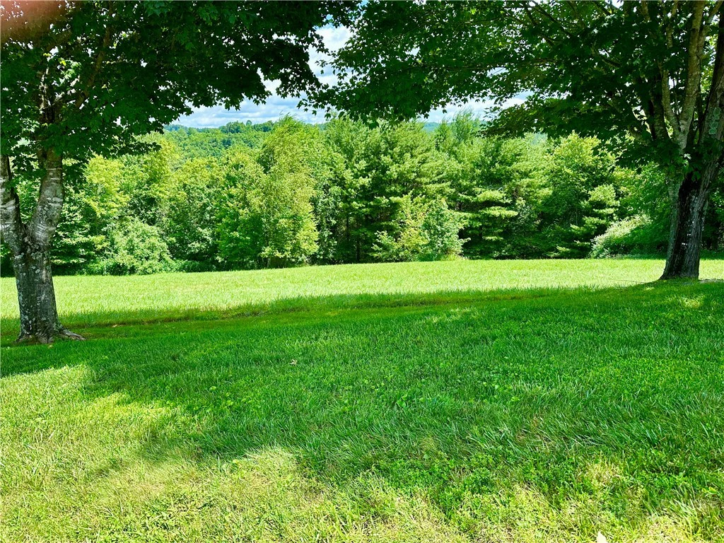 Image number 3 for the current listing