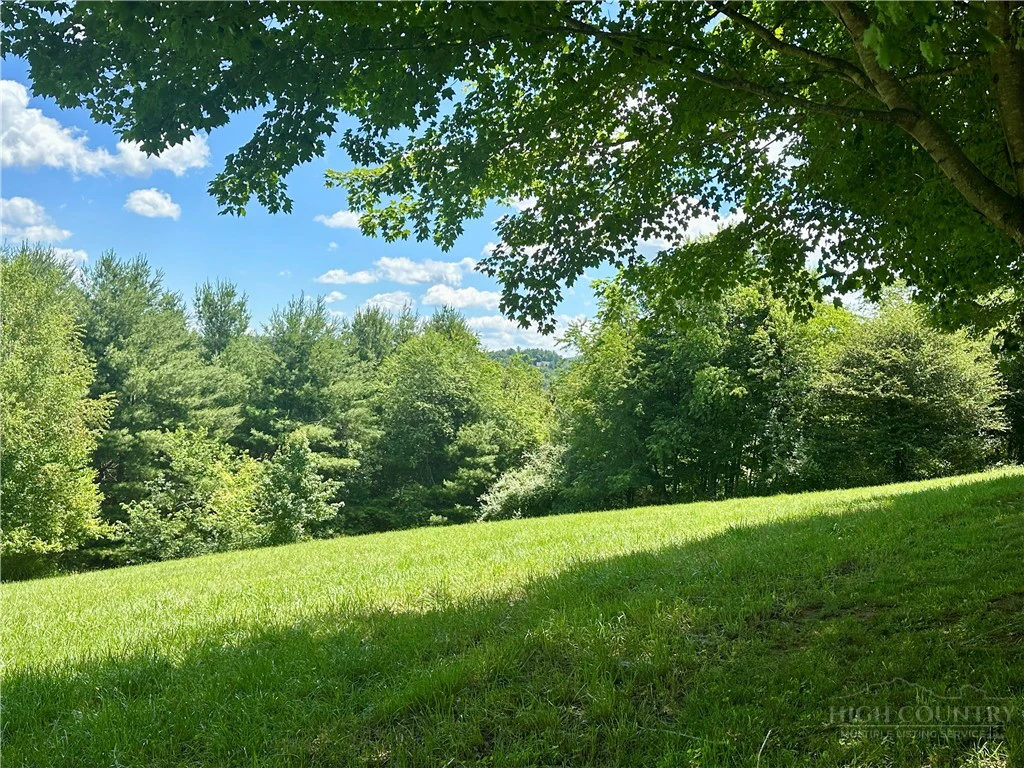 Image number 4 for the current listing