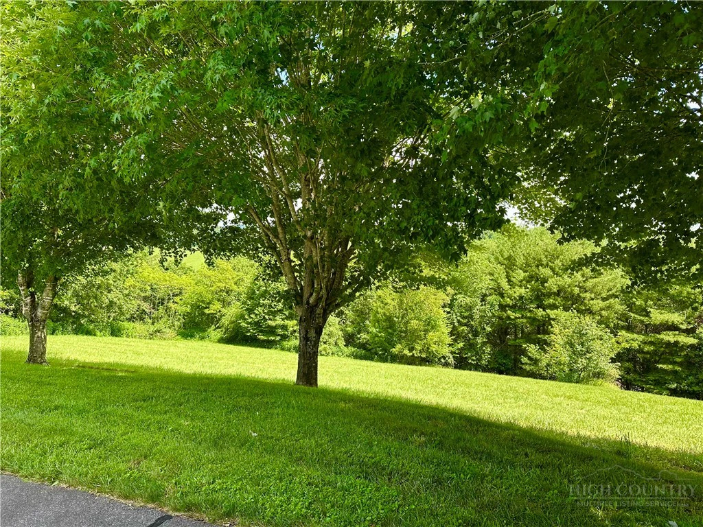 Image number 5 for the current listing