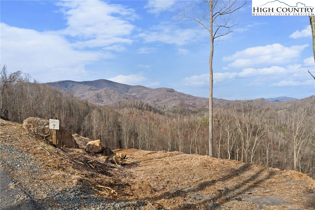 Image number 5 for the current listing