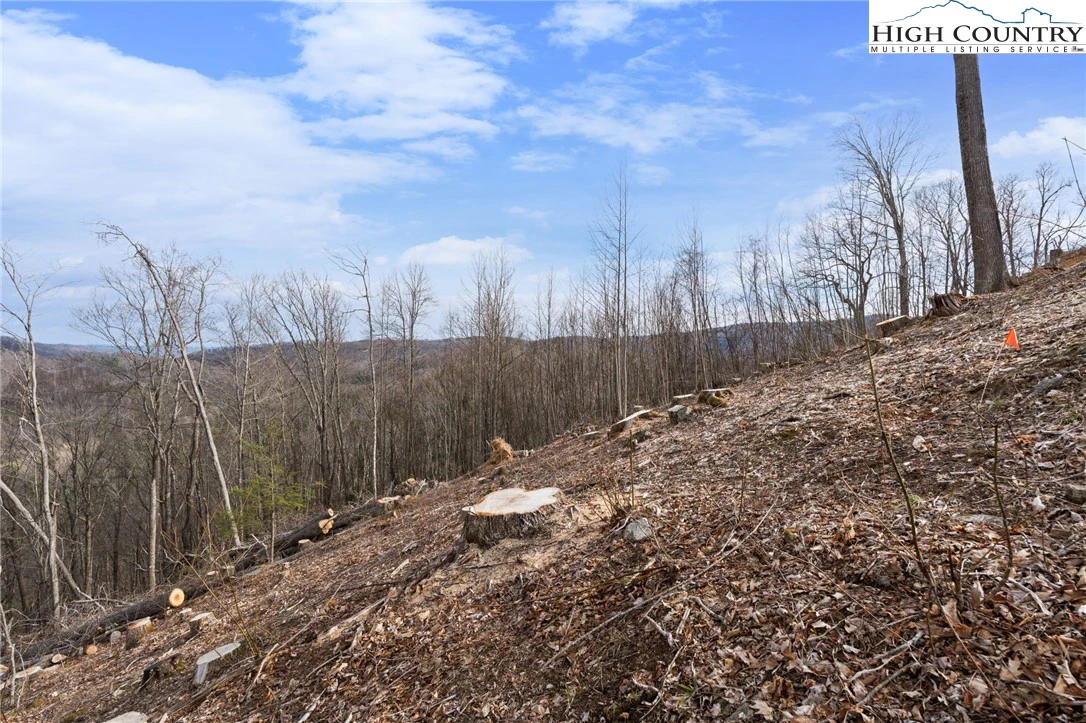 Image number 7 for the current listing