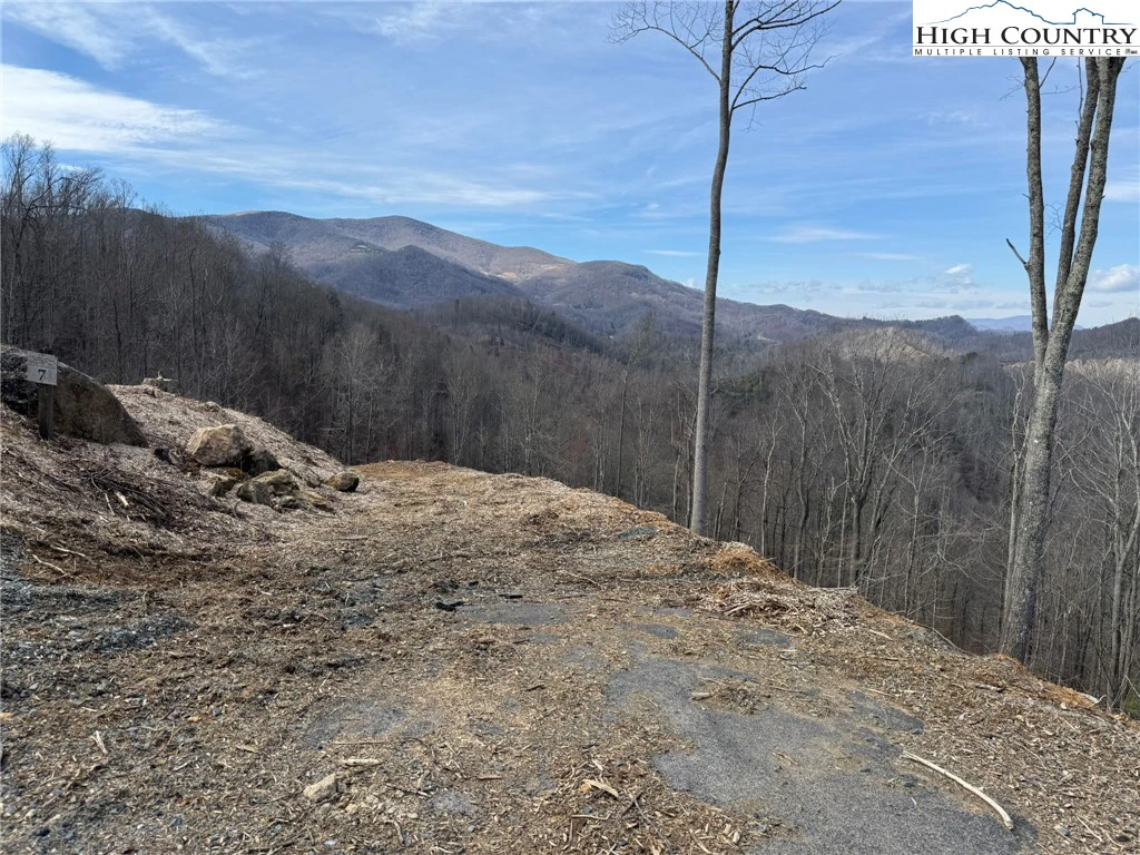 Image number 1 for the current listing