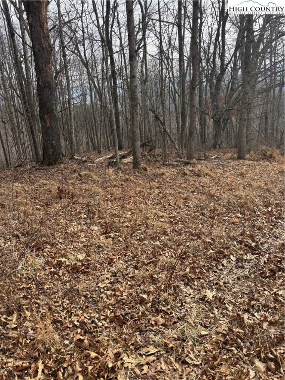 Image number 1 for the current listing