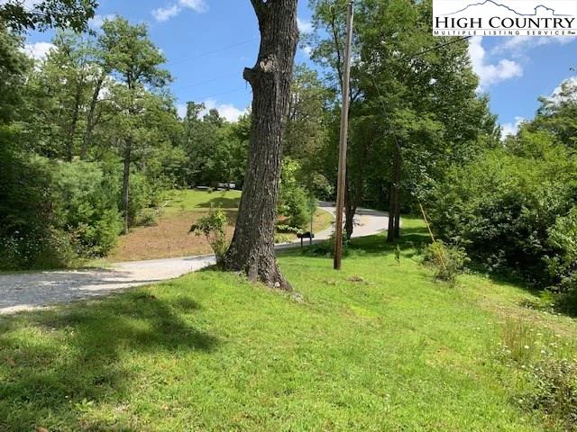 Image number 3 for the current listing