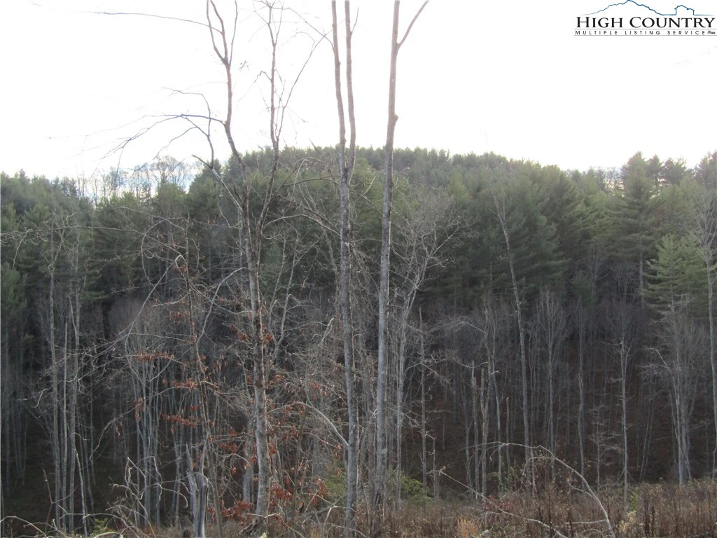 Image number 6 for the current listing