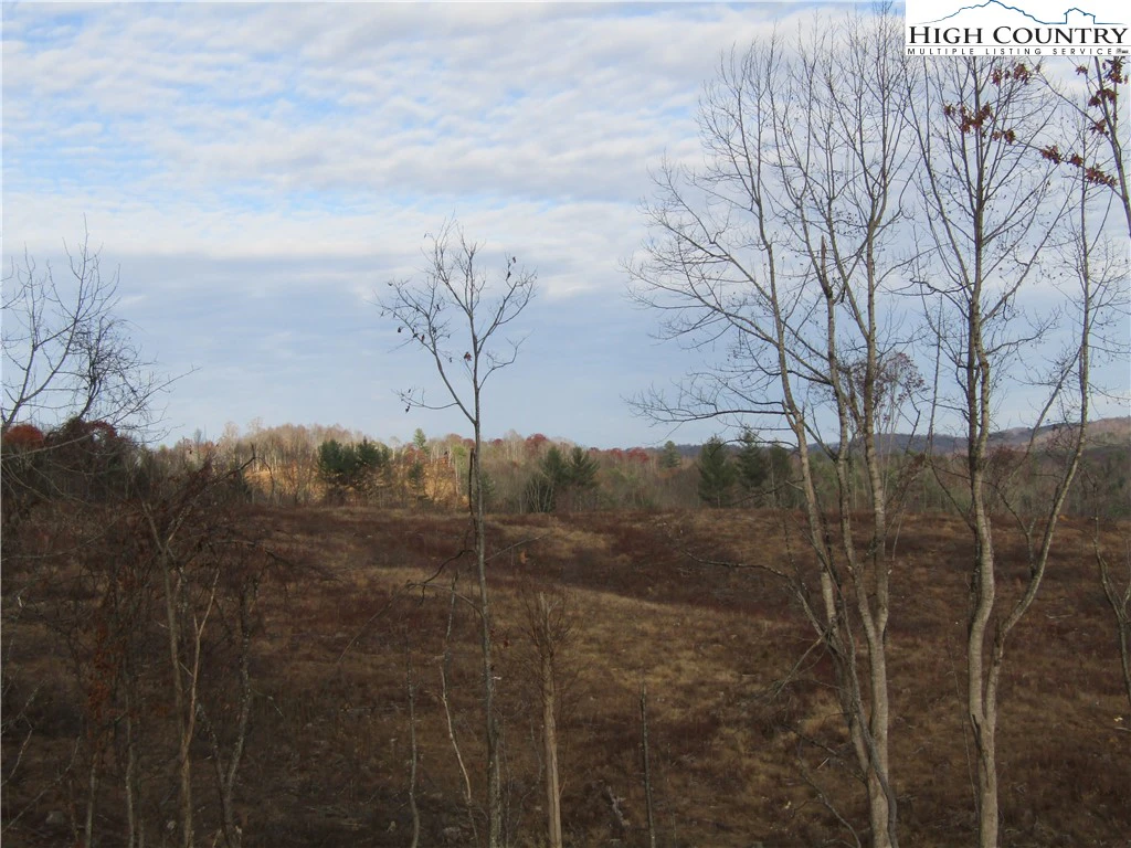 Image number 14 for the current listing