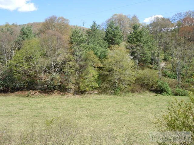 Image number 1 for the current listing